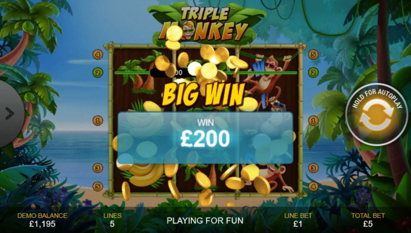 Triple Monkey Slot